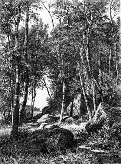 Офорт Гравюра И. Шишкин. «Лес». Около 1890 г.